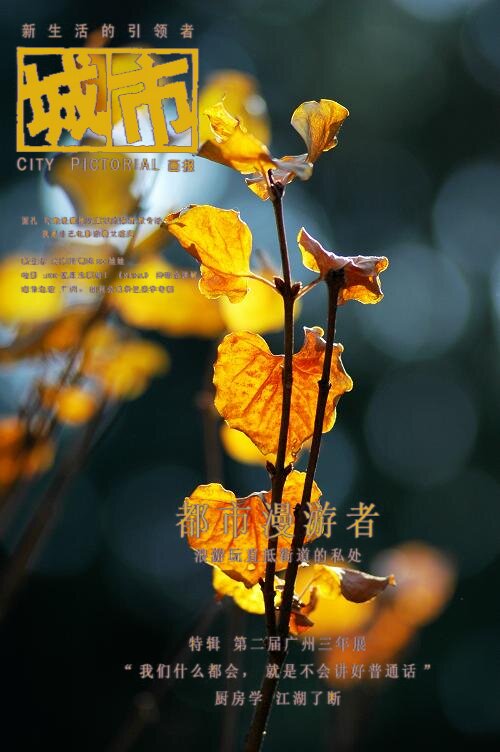 最后的红叶
