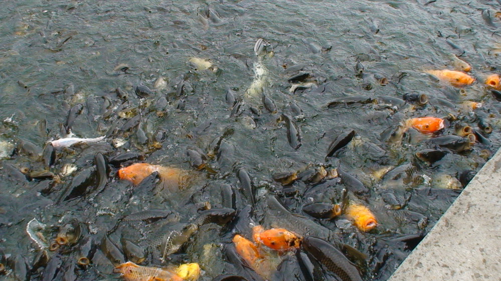 民以食为天
