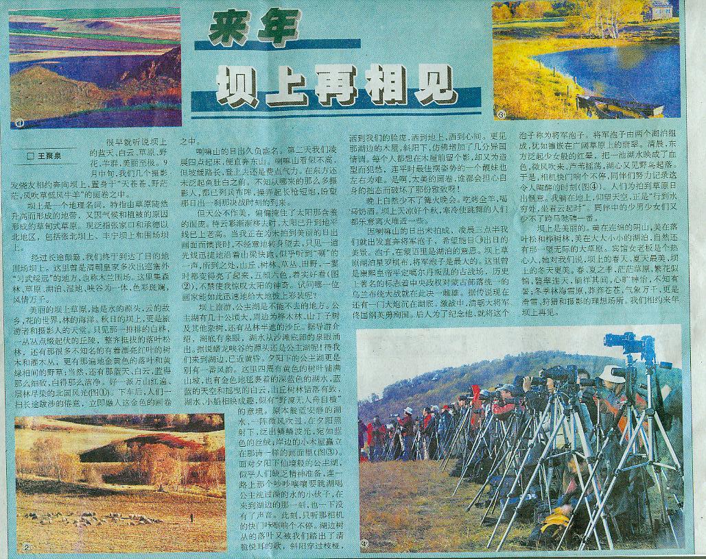 会员作品上报了