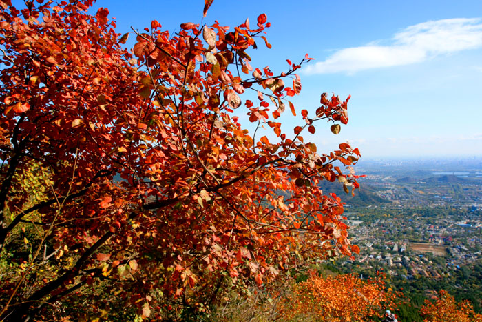 香山秋韵