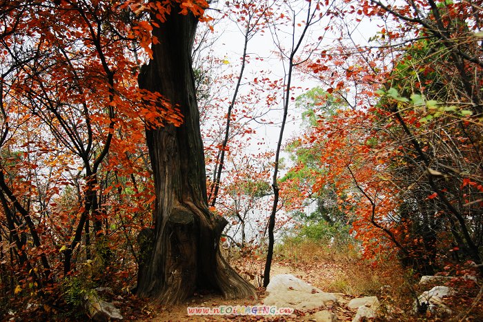 沂源风情