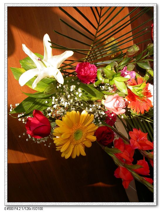 幸福象花儿一样