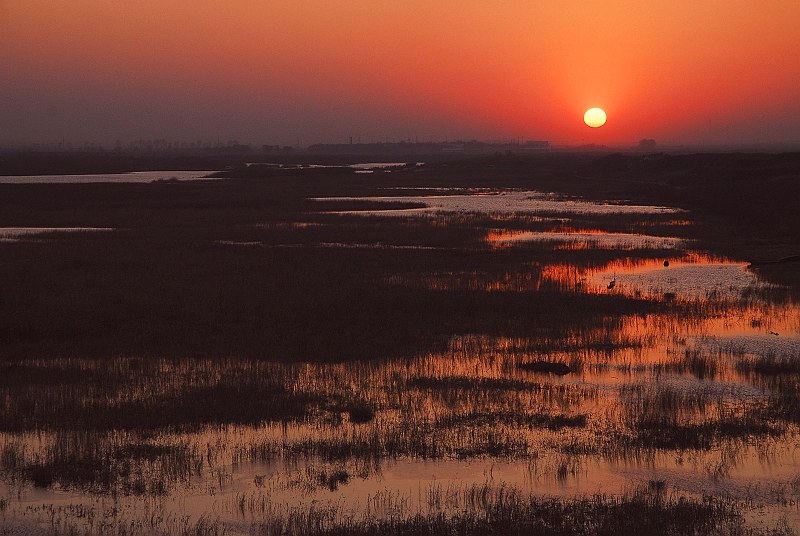 [原创]暮秋夕阳