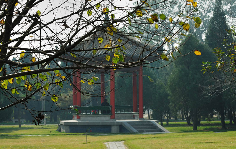 公园