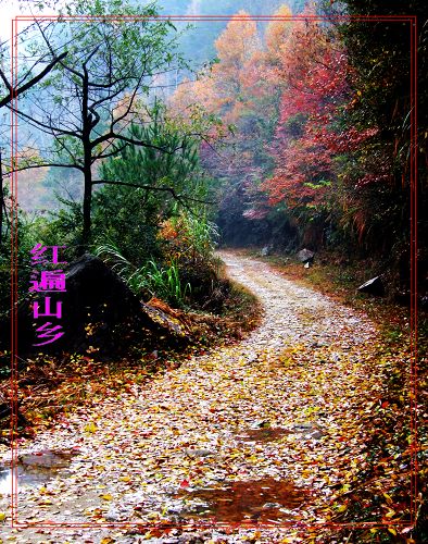 婺源秋色