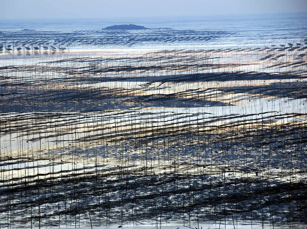 霰浦印象