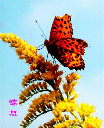 婺源秋色