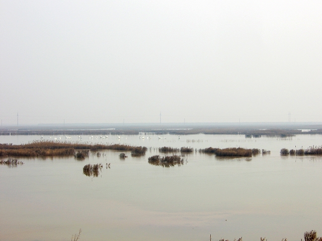 天鹅湖