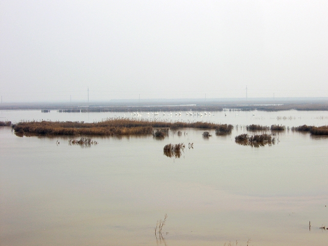 天鹅湖