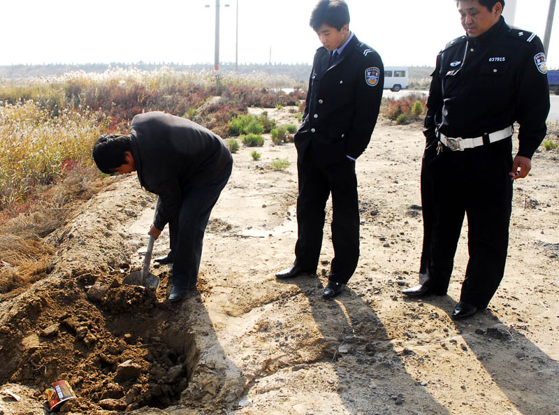 天鹅之死