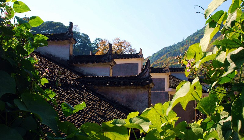 婺源行------徽居印象