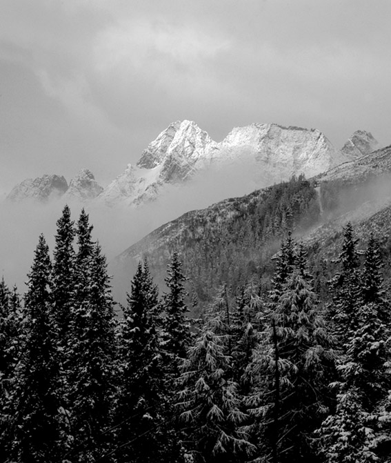仙山