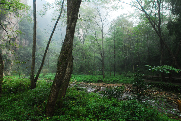 晚秋小景