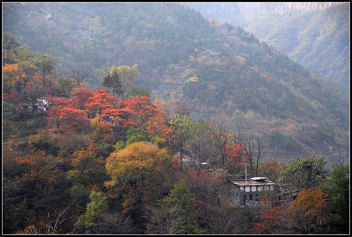 深秋的太行山林州