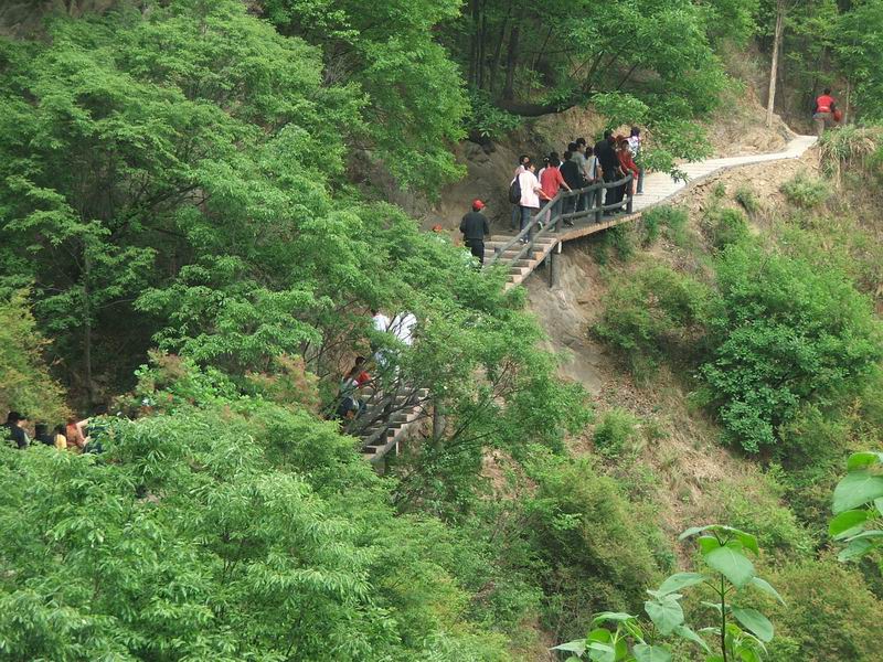 试发一张