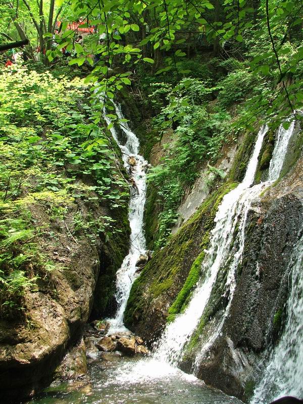 栾川行