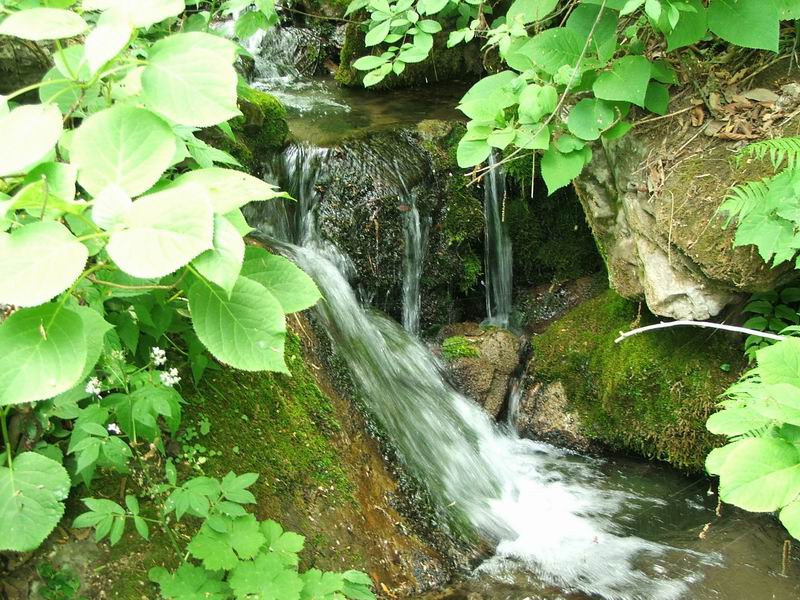 栾川行