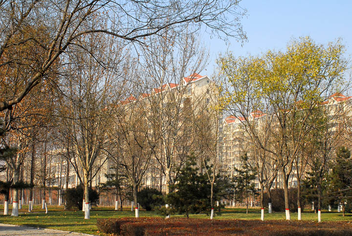公园小景