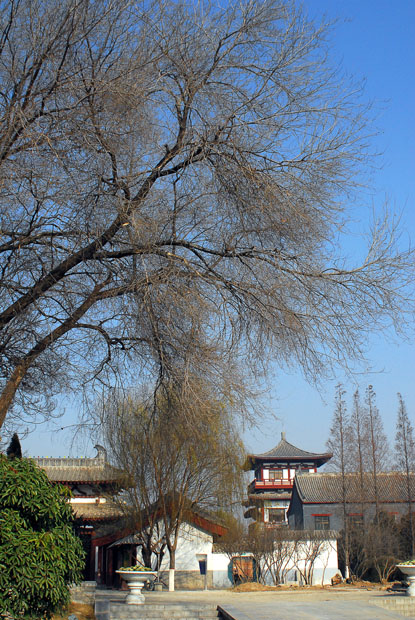 公园小景