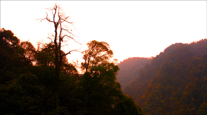 云山即景