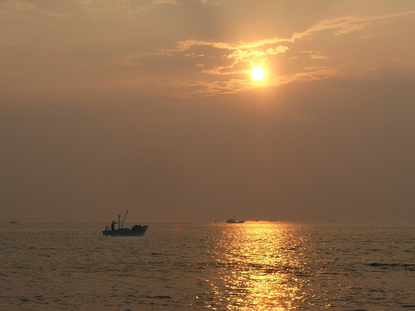 海