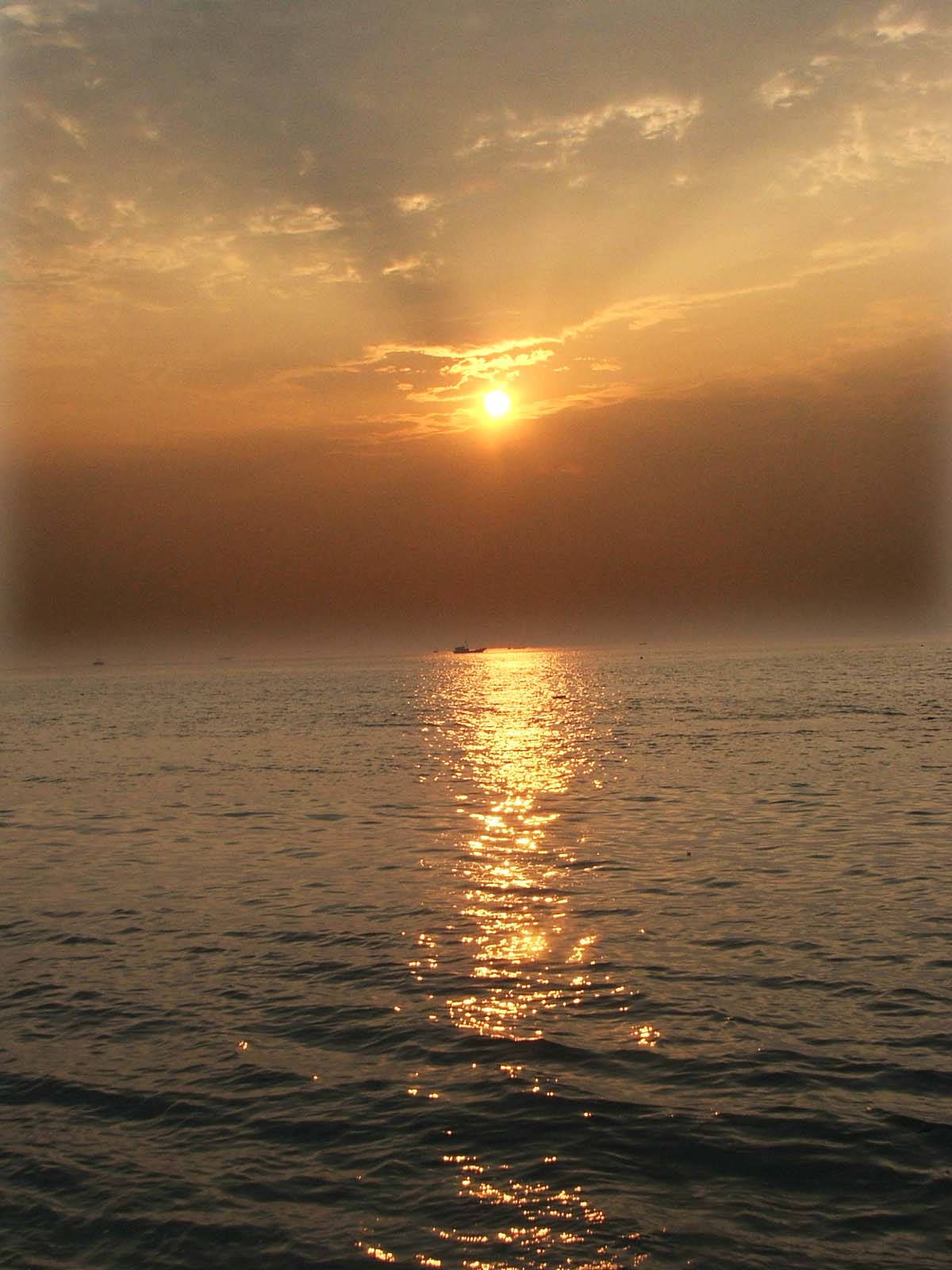 海