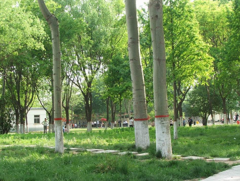 一个人人都知道的地方