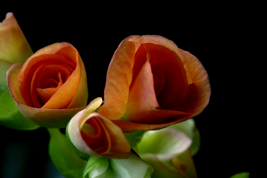 小花