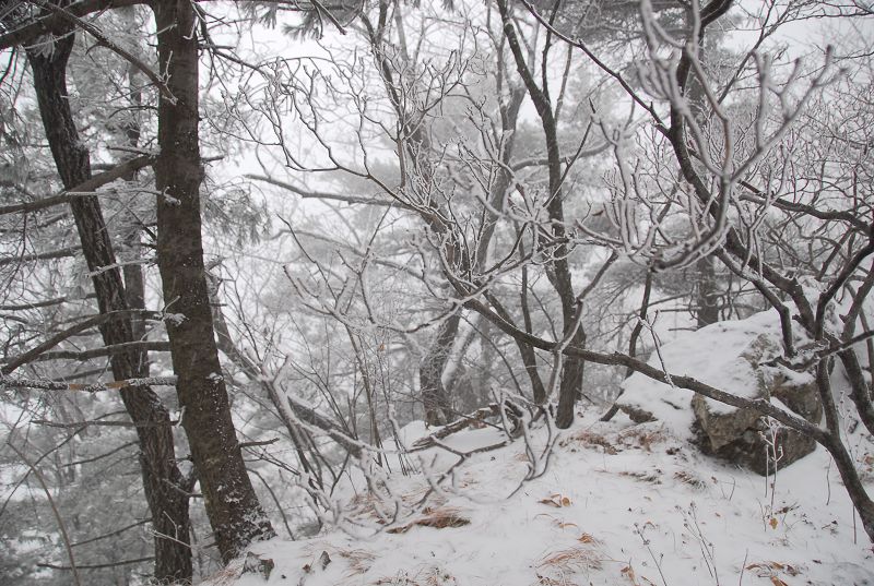 偶遇河南第一场雪