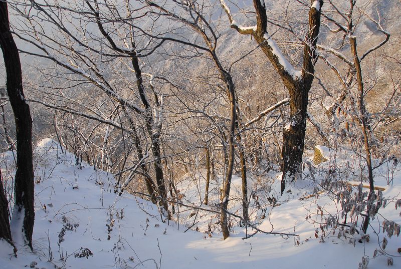 偶遇河南第一场雪
