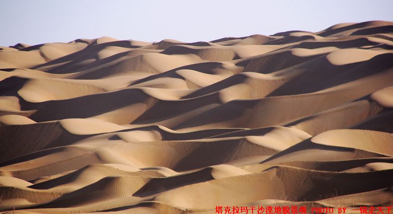 走进塔克拉玛干沙漠