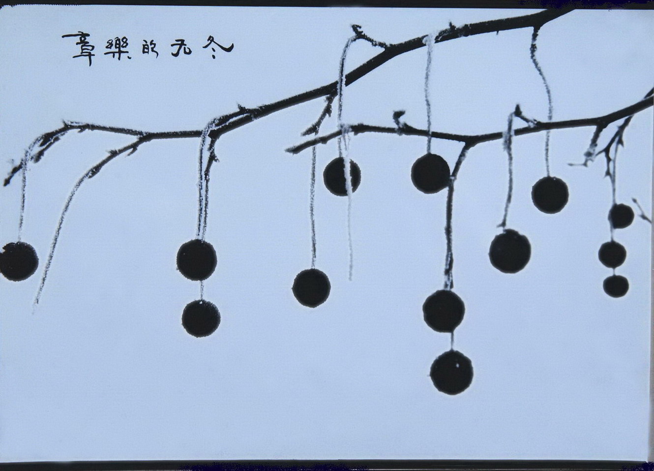 我眼睛中花