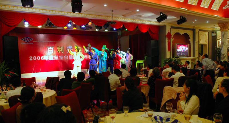 在广东观看企业新春联欢晚会2007.2.9