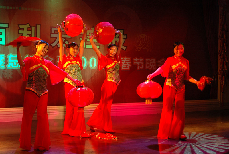在广东观看企业新春联欢晚会2007.2.9