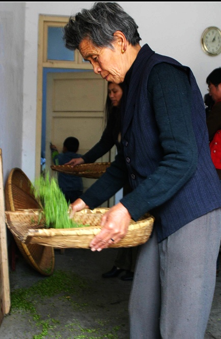 毛尖是怎样制成的