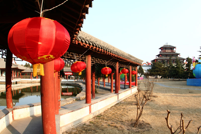 图丽10-17mm试片
