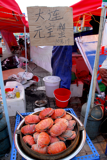 中华龙乡文化美食节