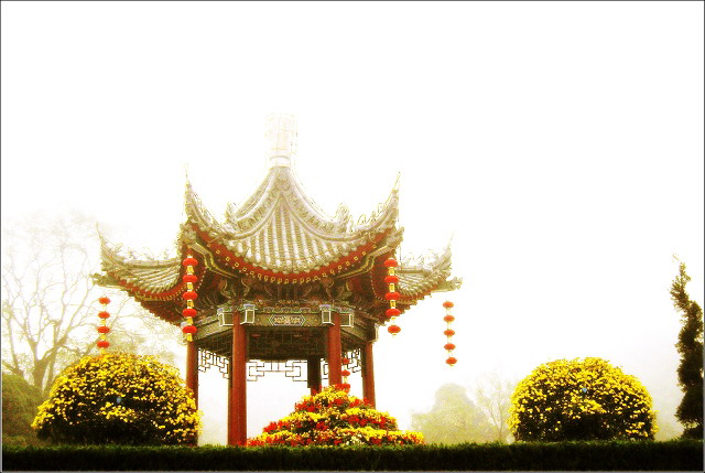 史鉴。。