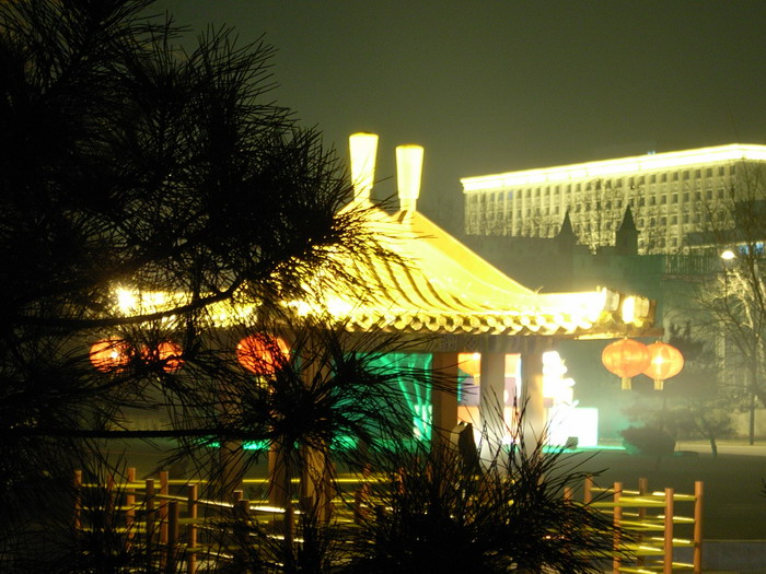 也发几张夜景凑凑数