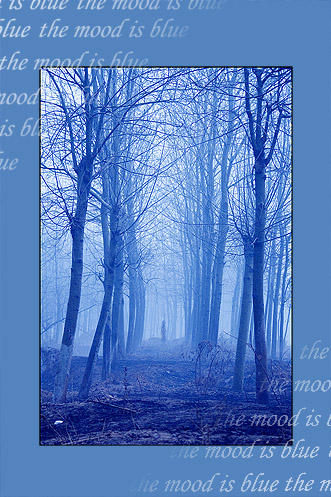the  mood  is  blue