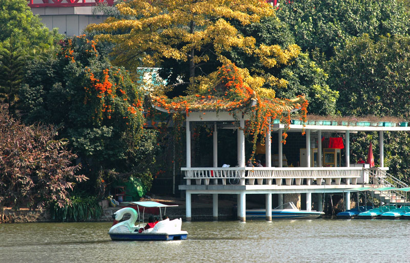 深圳荔枝公园2007.2.3