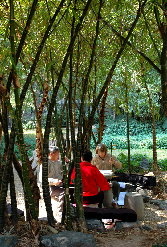 深圳荔枝公园2007.2.3