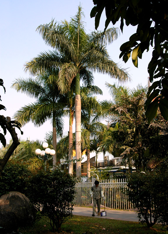 深圳荔枝公园2007.2.3