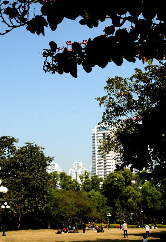 深圳荔枝公园2007.2.3