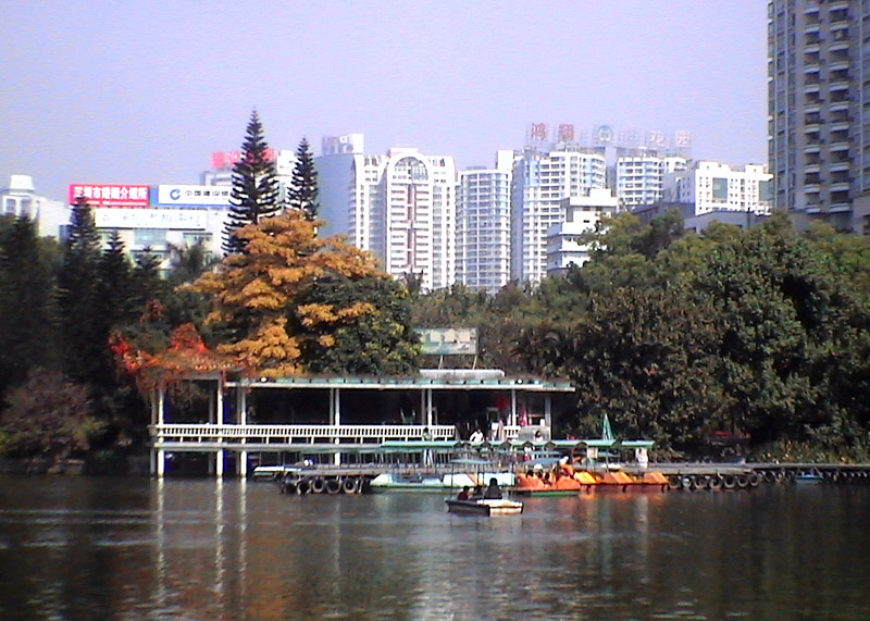 深圳行