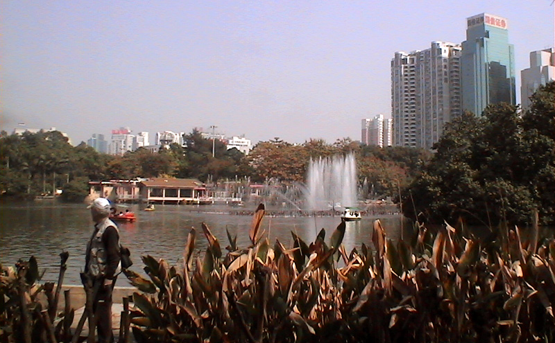 深圳行