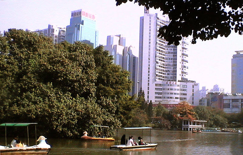 深圳行