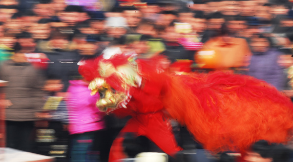 瑕丘庙会舞狮忙