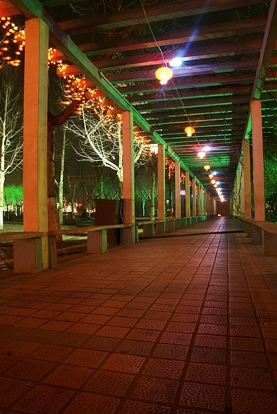 几张油城夜景