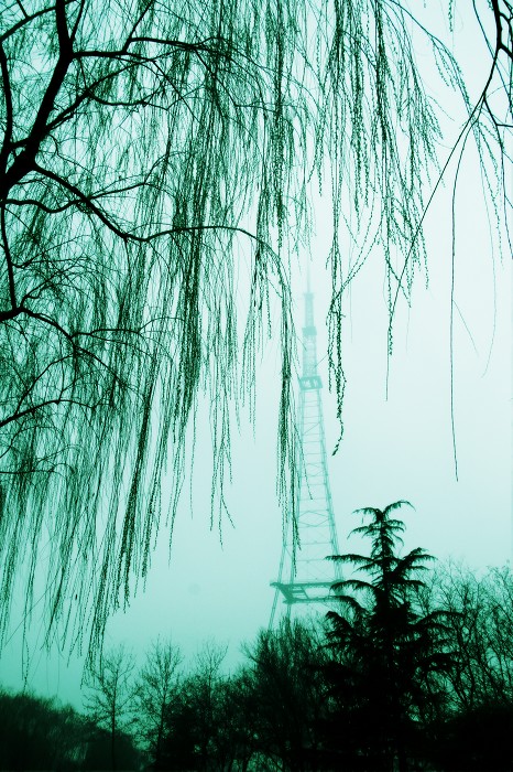 春天已来临